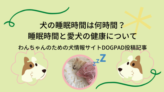 只野もじゃもじゃブログ 犬のこと 愛犬のこと 日常の出来事などを自由きままにお伝えします