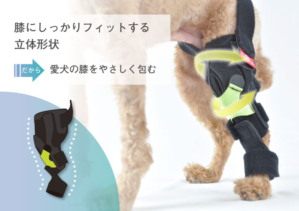 愛犬用の オーダーメイド膝サポーター がanifullより発売 膝蓋骨脱臼や関節炎の救世主に 只野もじゃもじゃブログ