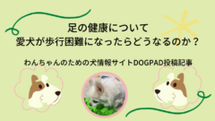 愛犬用の オーダーメイド膝サポーター がanifullより発売 膝蓋骨脱臼や関節炎の救世主に 只野もじゃもじゃブログ